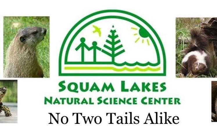 Squam Lakes Natural Science Center, No Two Tails Alike